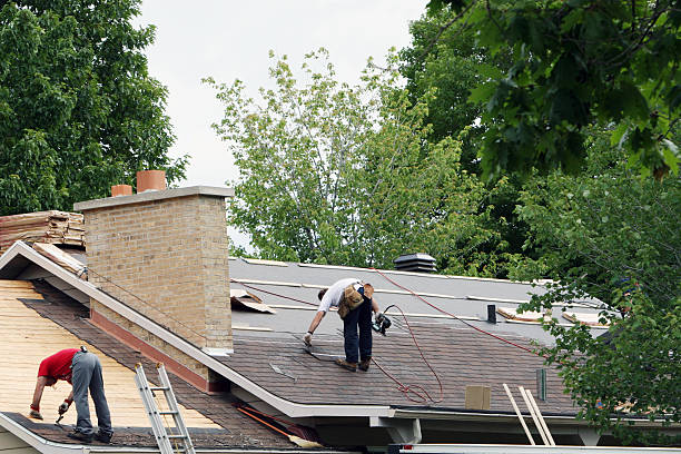 Best Storm Damage Roof Repair  in Dassel, MN