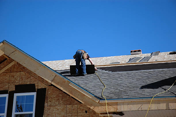 Best Roof Gutter Cleaning  in Dassel, MN