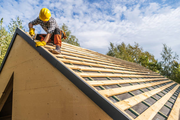 Best Roof Gutter Cleaning  in Dassel, MN