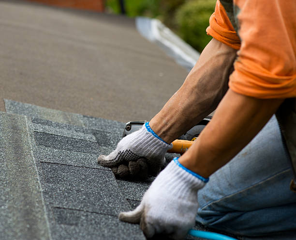 Roof Gutter Cleaning in Dassel, MN